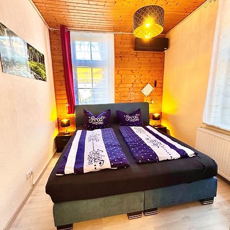 Ferienhaus Zur Abzuchtinsel Goslar Dış mekan fotoğraf