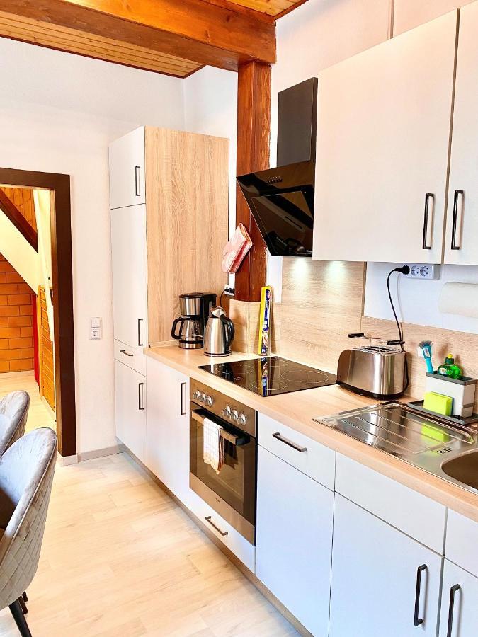 Ferienhaus Zur Abzuchtinsel Goslar Dış mekan fotoğraf